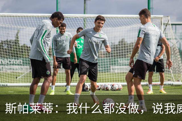 斯帕莱蒂：我什么都没做，说我威胁要扇人耳光的在撒谎